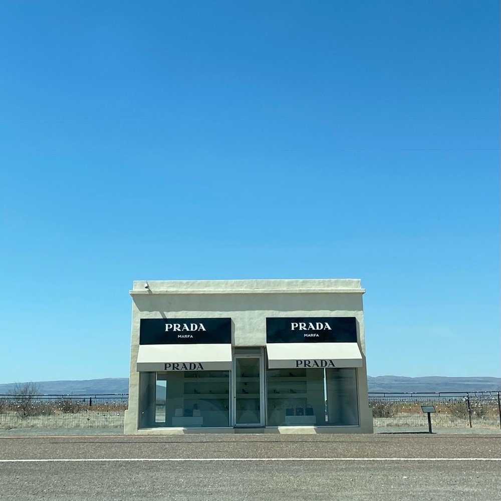 Meet your Posher, Dylan